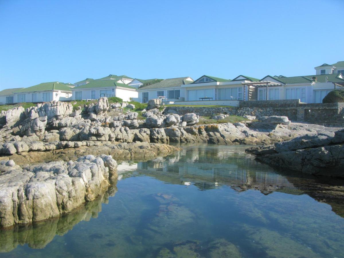 Beachfront House - Hermanus Whale View Βίλα Εξωτερικό φωτογραφία