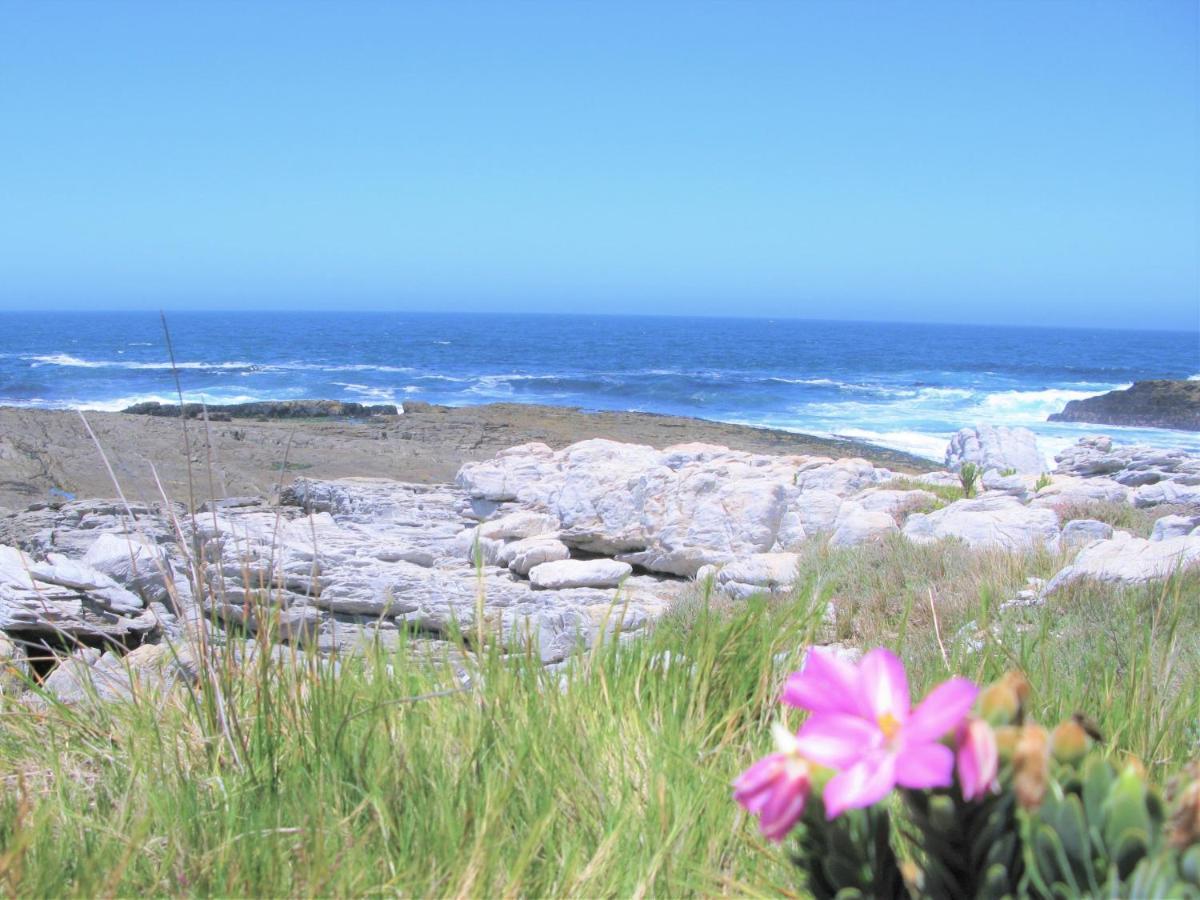 Beachfront House - Hermanus Whale View Βίλα Εξωτερικό φωτογραφία