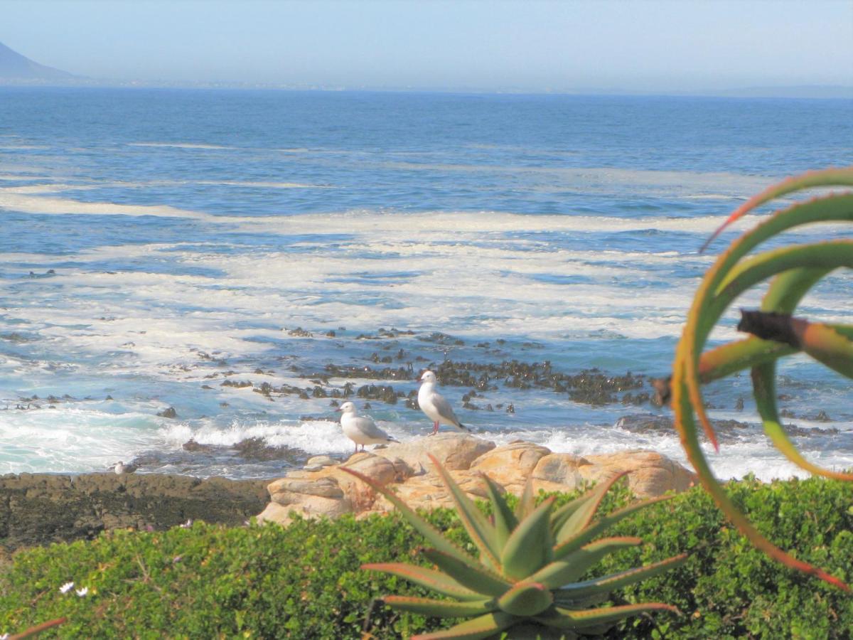 Beachfront House - Hermanus Whale View Βίλα Εξωτερικό φωτογραφία