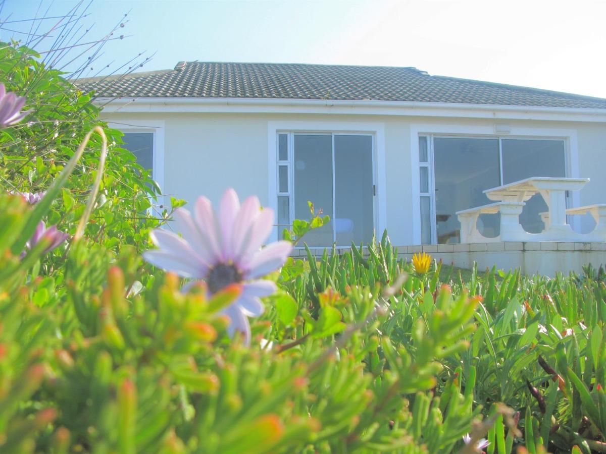 Beachfront House - Hermanus Whale View Βίλα Εξωτερικό φωτογραφία